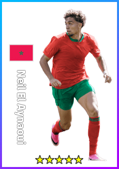 Neil El Aynaoui