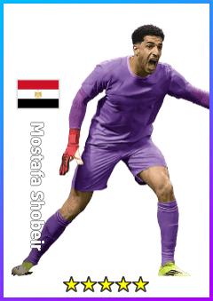 Mostafa Shobeir