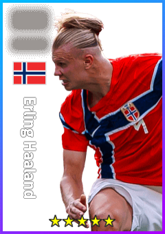 Erling Haaland