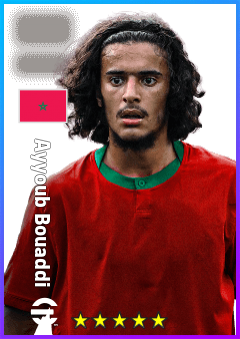 Ayyoub Bouaddi