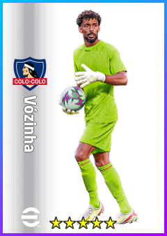 Vozinha