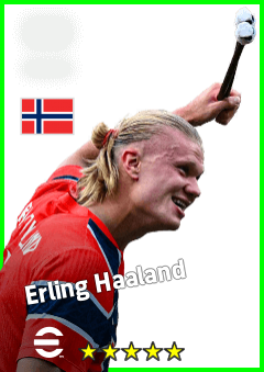 Erling Haaland