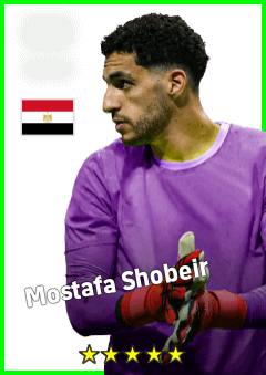 Mostafa Shobeir